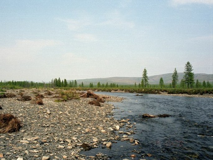 Severovýchodosibiřská provincie