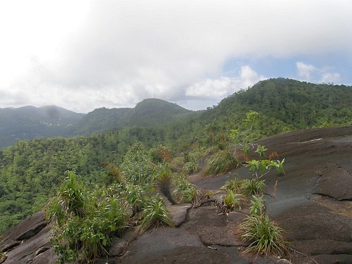 Seychelská provincie