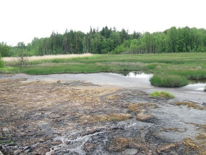 Chebská pánev, Soos – národní přírodní rezervace