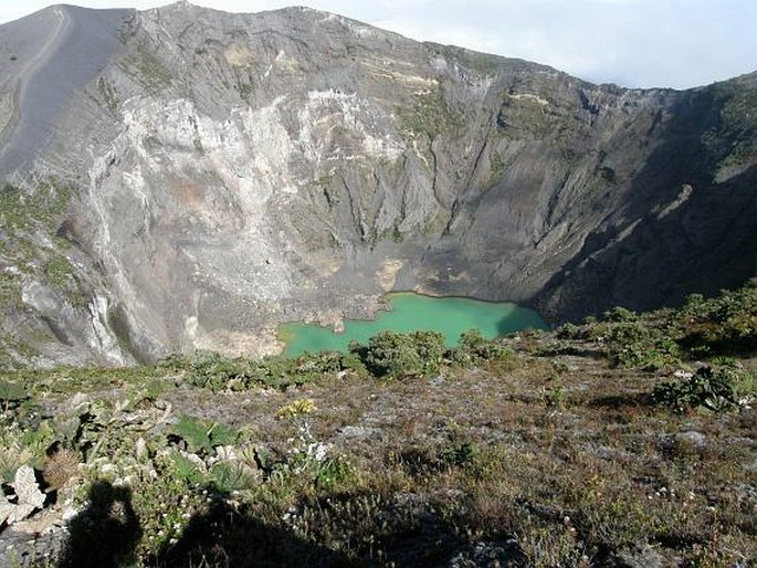 Středoamerická provincie