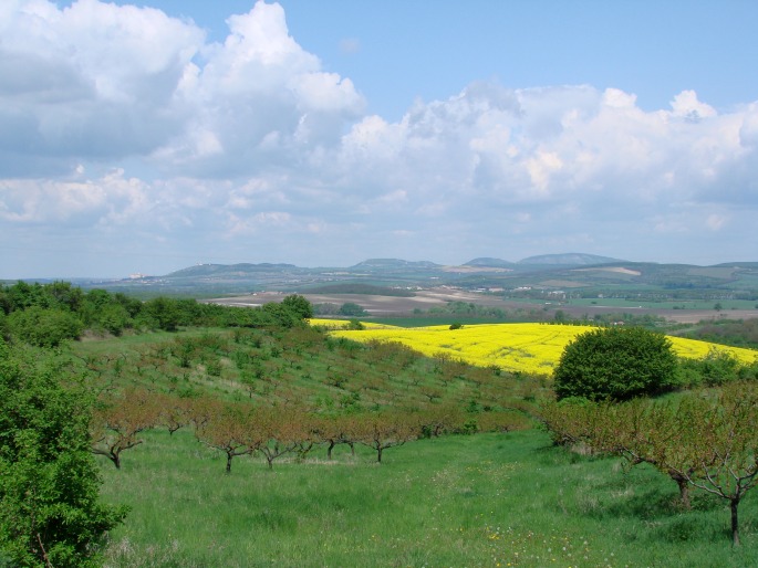 Středoevropská provincie