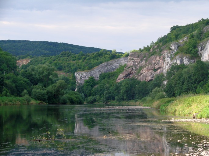 Středoevropská provincie