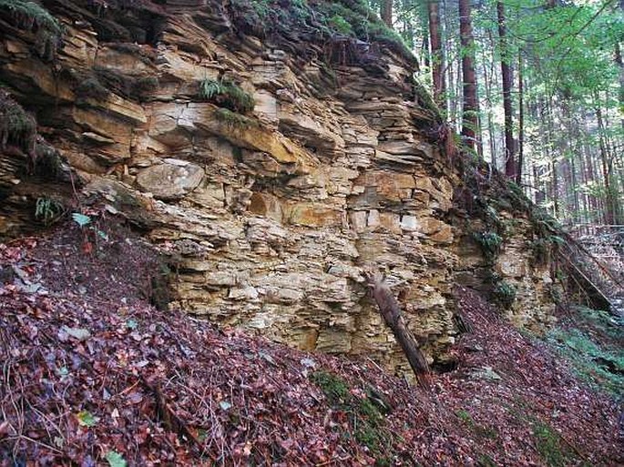 Střítežská rokle - přírodní památka