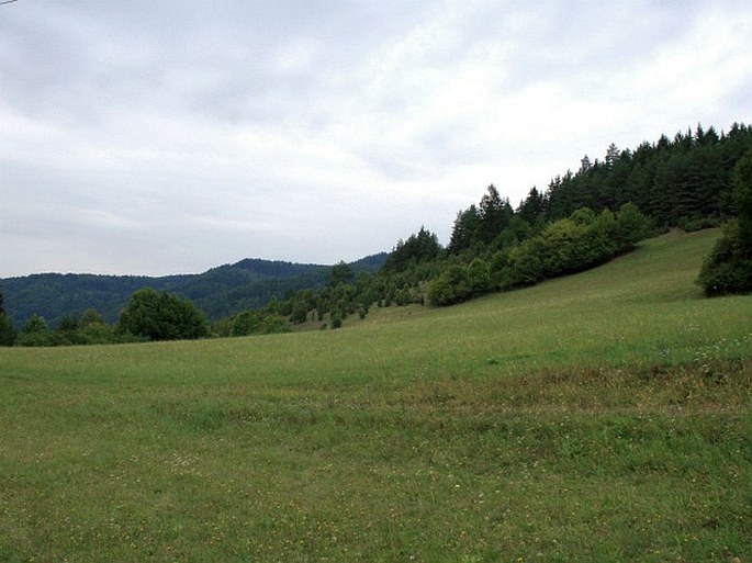 Moravské podhůří Vysočiny, Švařec - národní přírodní památka