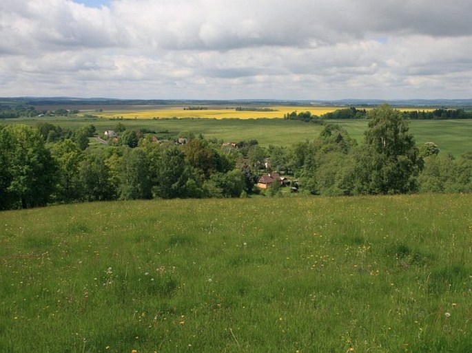 Těšovské pastviny