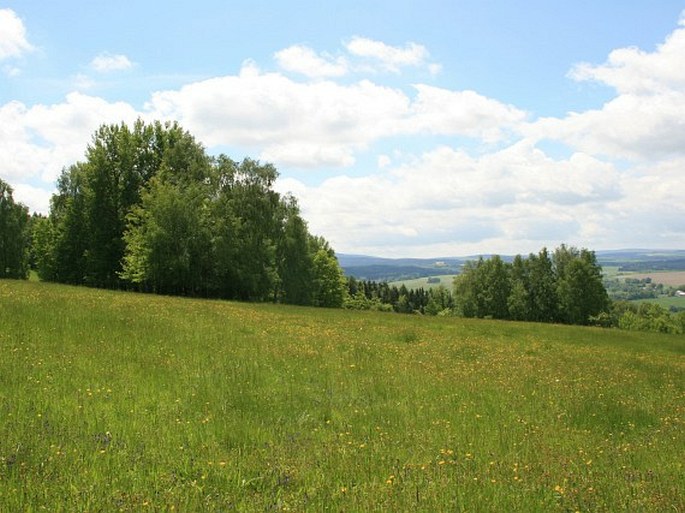 Těšovské pastviny