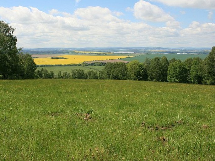 Těšovské pastviny