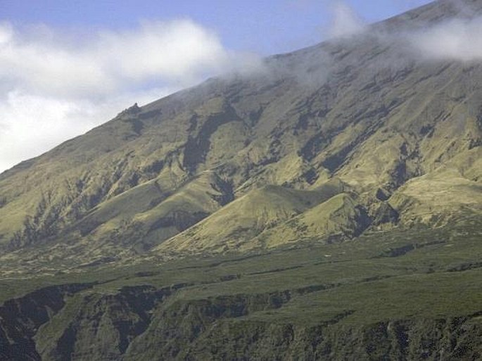 Provincie ostrova Tristan da Cunha