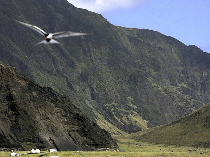 Provincie ostrova Tristan da Cunha