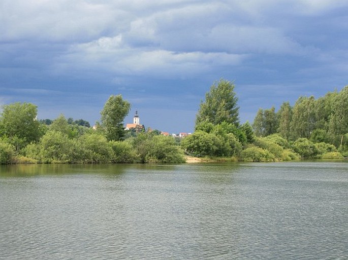 Třeboňská pánev, Písečný přesyp u Vlkova – přírodní rezervace