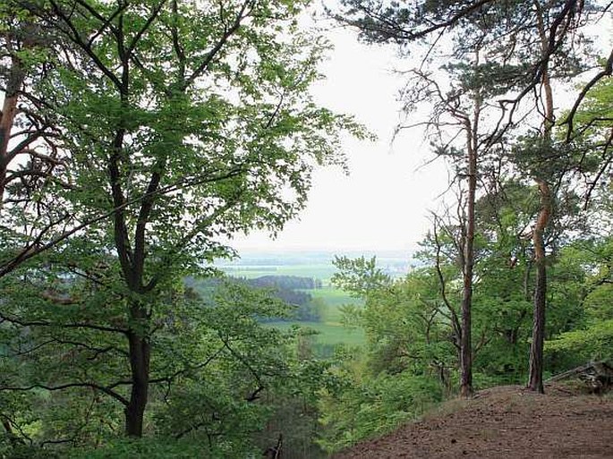 Vranovské skály - přírodní památka