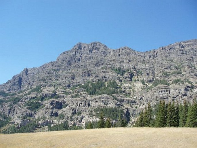 Yellowstone National Park