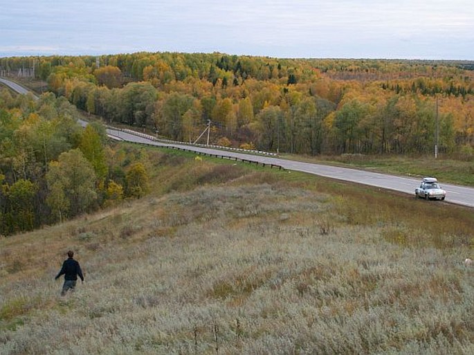 Holarctis – Cirkumboreální oblast – Západosibiřská provincie