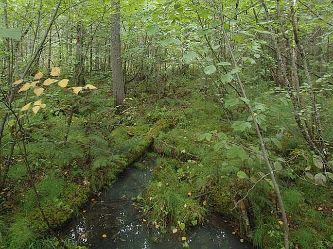 Západosibiřská provincie