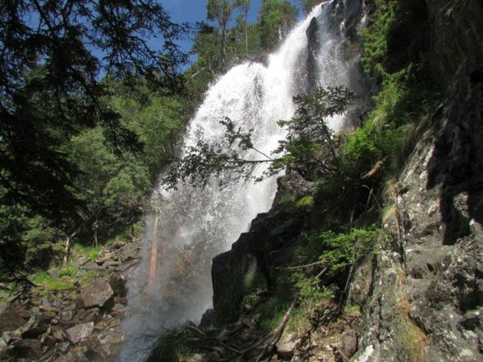 Parc Nacional d'Aigüestortes i Estany de Sant Maurici