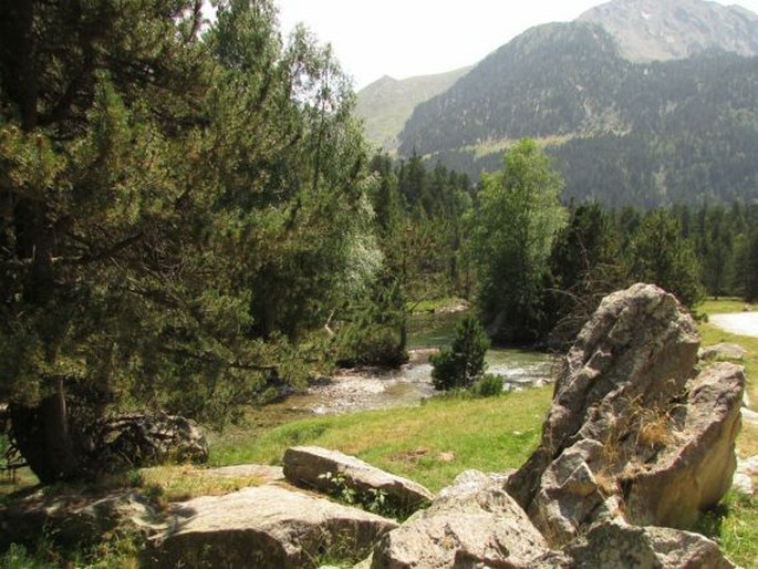 Parc Nacional d'Aigüestortes i Estany de Sant Maurici