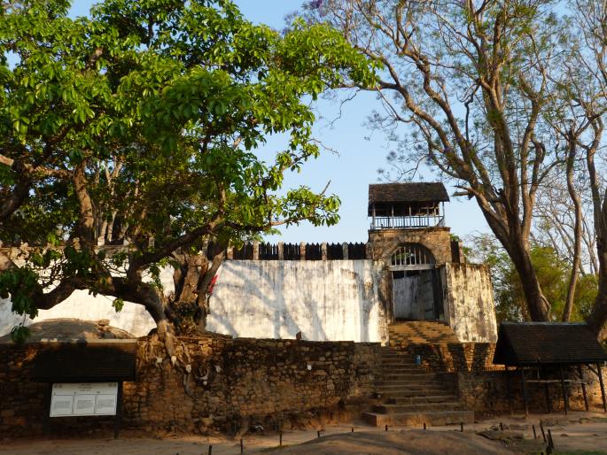 Fíkovník u paláce Ambohimanga, Madagaskar