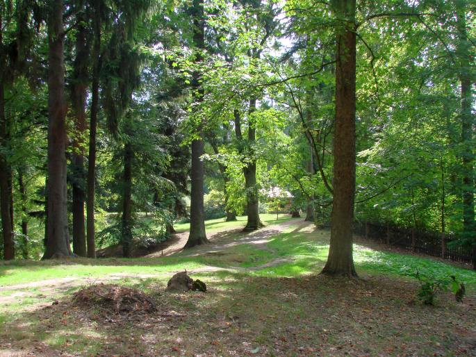 Arboretum Bukovina