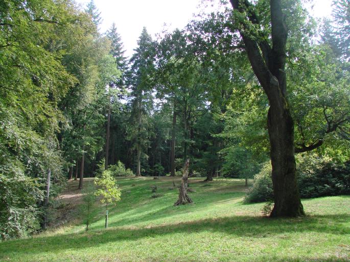 Arboretum Bukovina