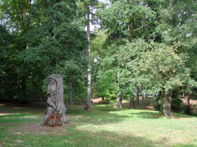 Arboretum Bukovina