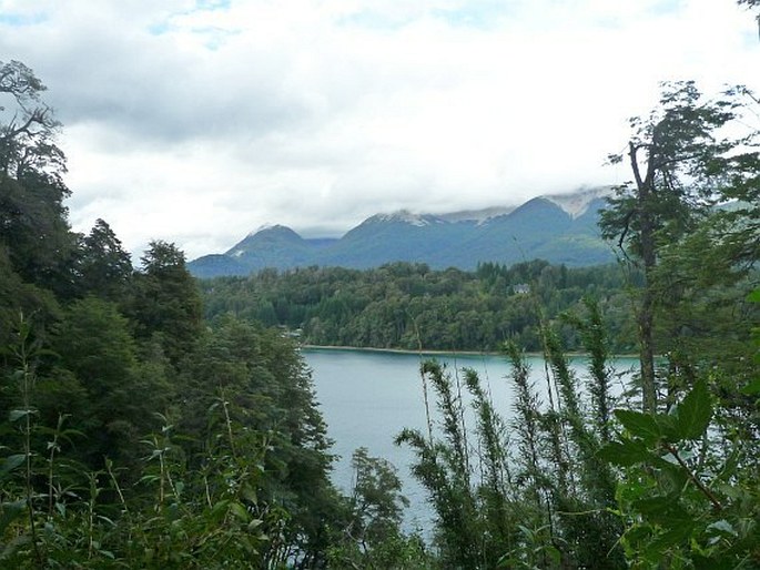 Parque Nacional Los Arrayanes