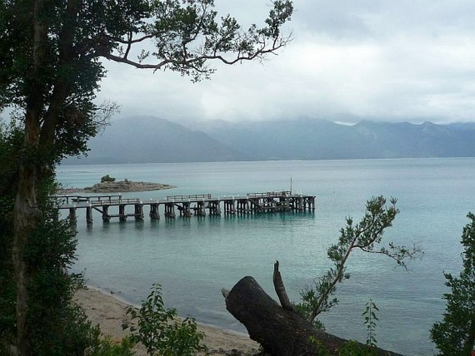 Parque nacional Los Arrayanes