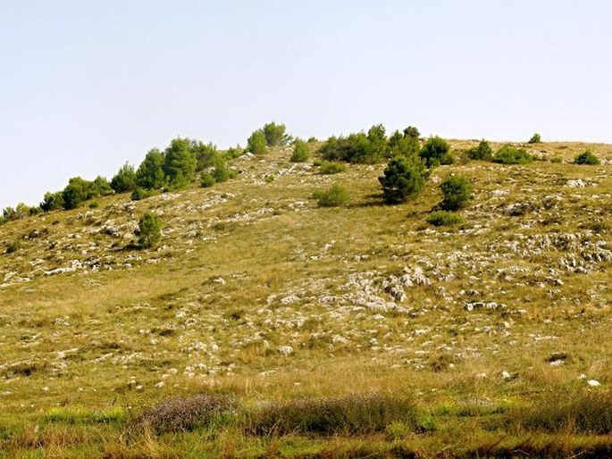 Parco nazionale dell'Alta Murgia