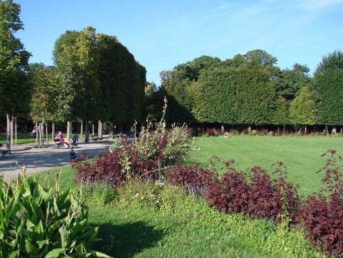 Augarten