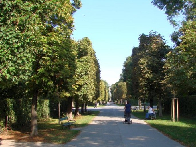 Augarten