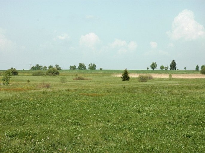 Žďárské vrchy, Bahna – přírodní památka