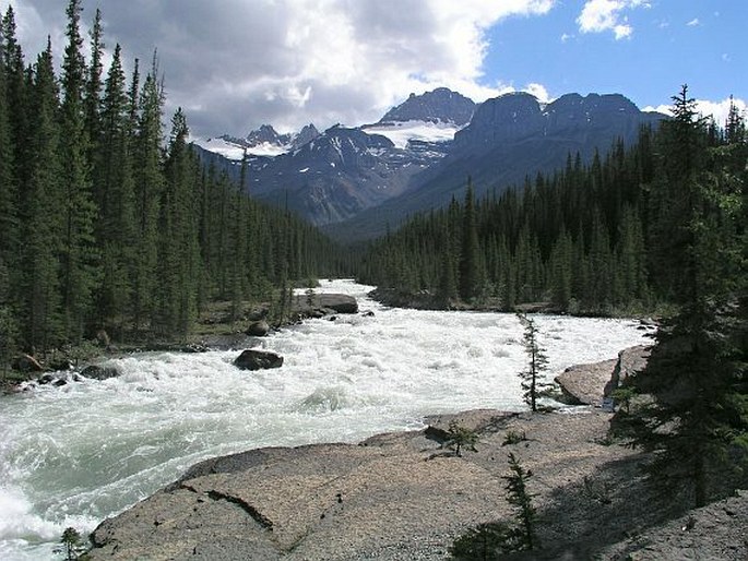 Banff National Park