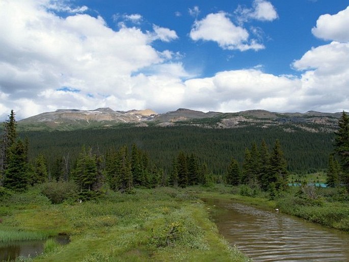 Banff National Park