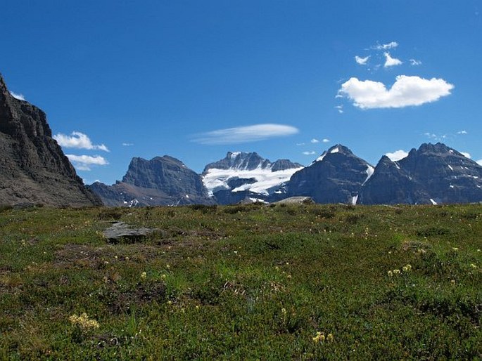 Banff National Park