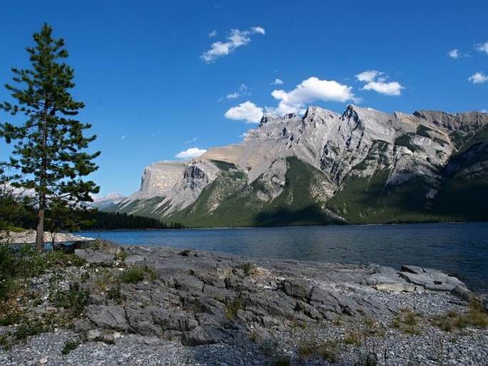 Banff National Park