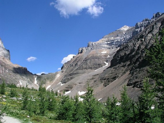 Banff National Park