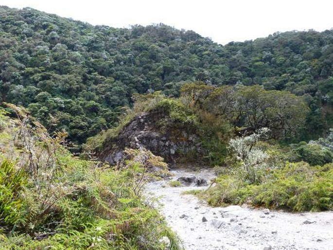 Volcán Barú