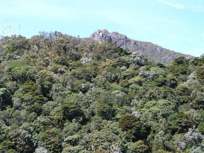 Volcán Barú