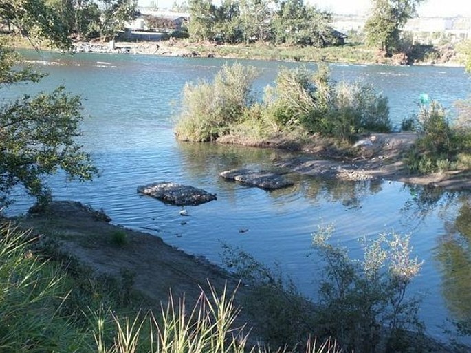 Calgary, Beaverdam Flats Park