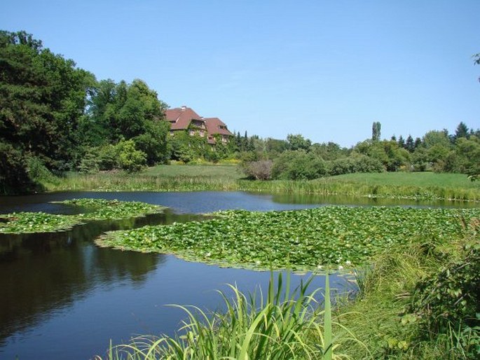 Botanischer Garten und Botanisches Museum Berlin