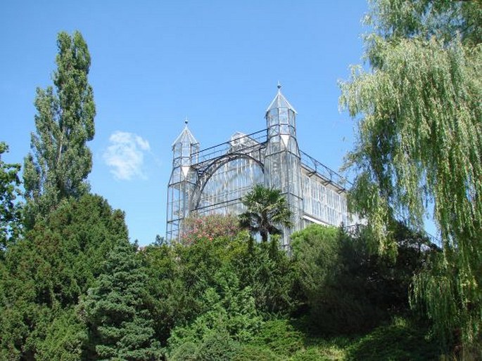 Botanischer Garten und Botanisches Museum Berlin