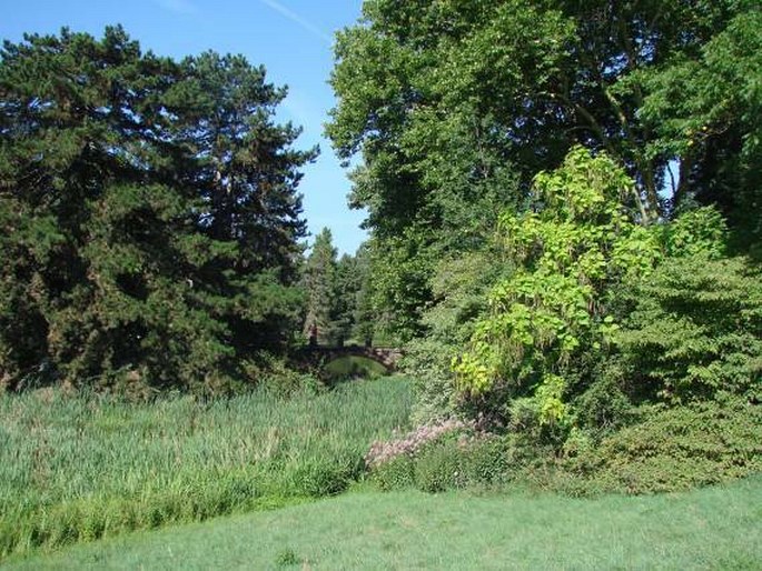 Botanischer Garten und Botanisches Museum Berlin