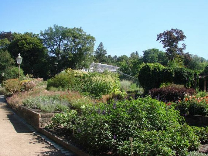 Botanischer Garten und Botanisches Museum Berlin