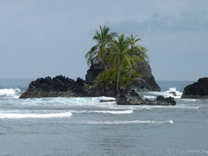 Bocas del Toro