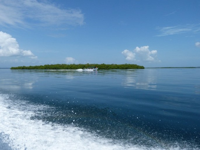 Bocas del Toro