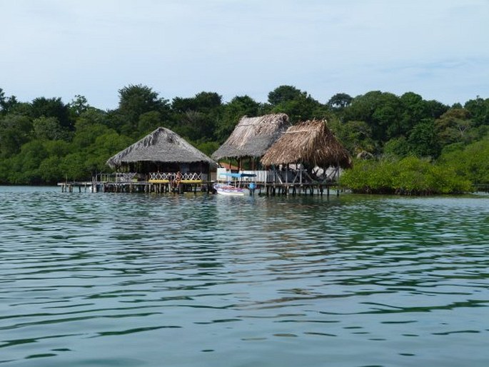 Bocas del Toro