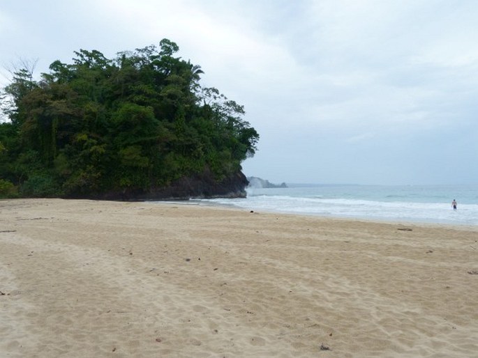 Bocas del Toro