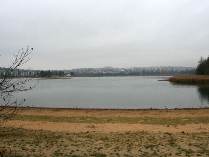 Plzeňská pahorkatina, Bolevecký rybník