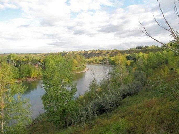 Bowmont Natural Environment Park