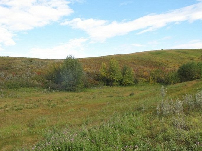 Bowmont Natural Environment Park