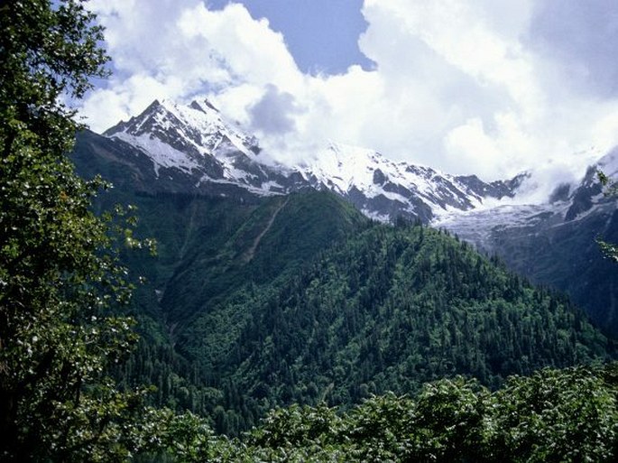 Brahmaputra